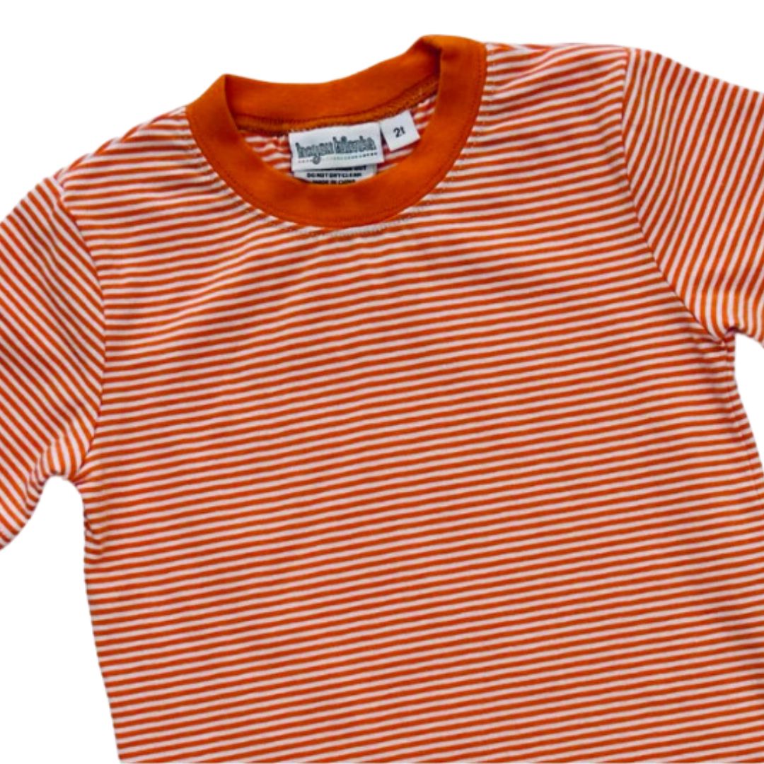 Boys Colorblock Stripe T Shirt