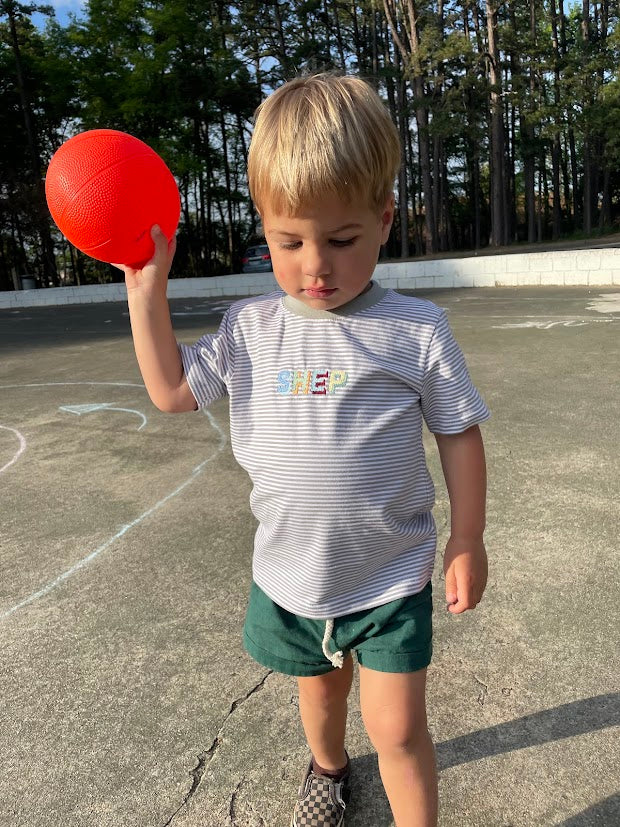 Boys Colorblock Stripe T Shirt