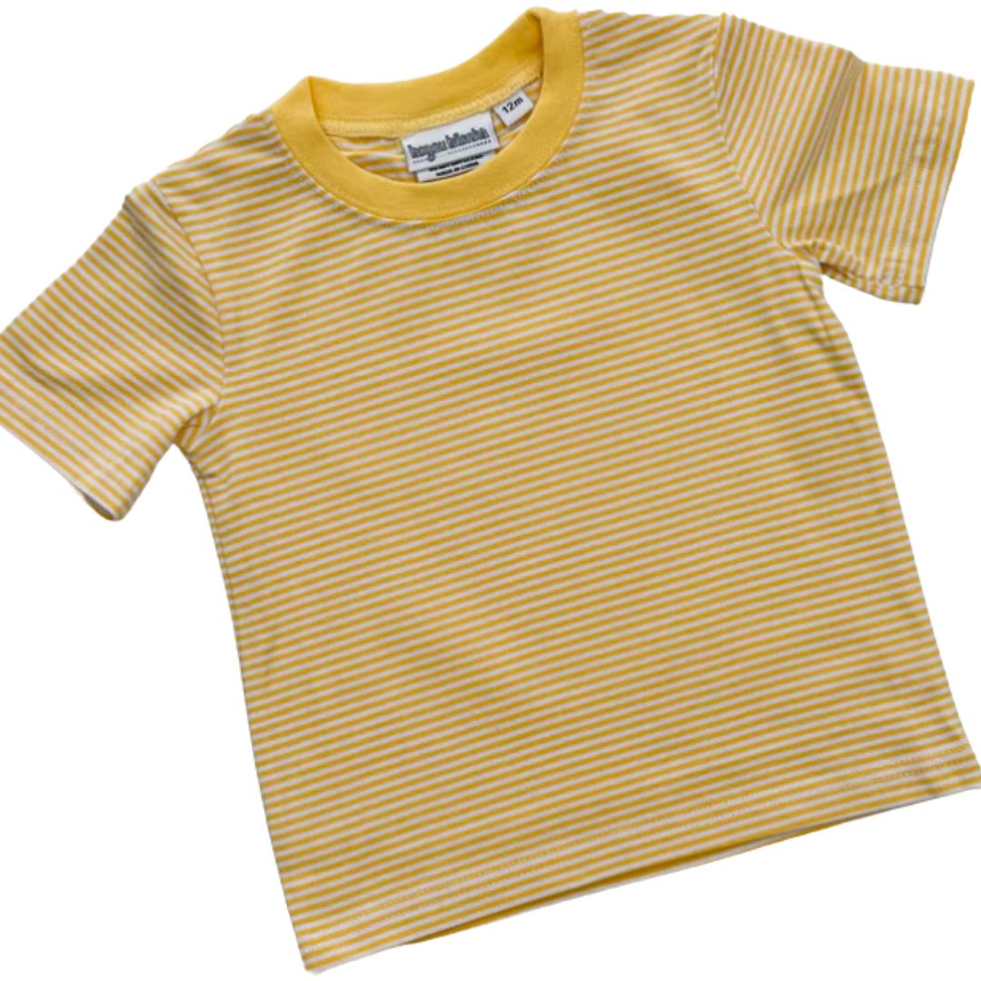 Boys Colorblock Stripe T Shirt