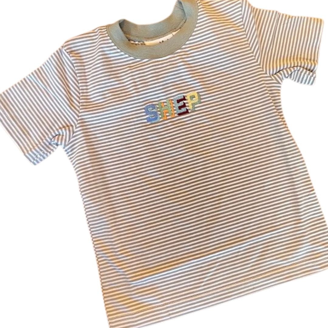 Boys Colorblock Stripe T Shirt